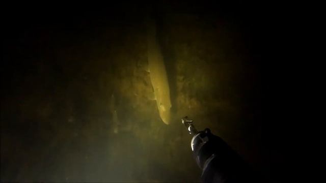 Ночная подводная охота: мертвая щука и спящий карась