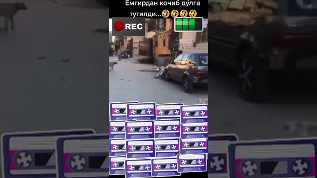 не жданчик.