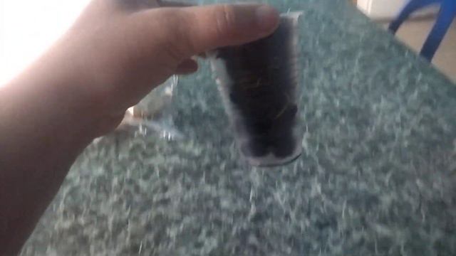 Шелковица - Медовая 😊