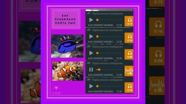 КАК ПРАВИЛЬНО ПОИТЬ РЫБ