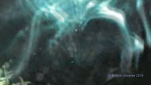 E81d02351e5274bfcfb19cf87de579b8