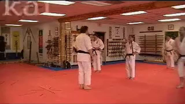 Okinawa Budo Kai RyuKyu Kobudo Promotions - Kata Bunkai