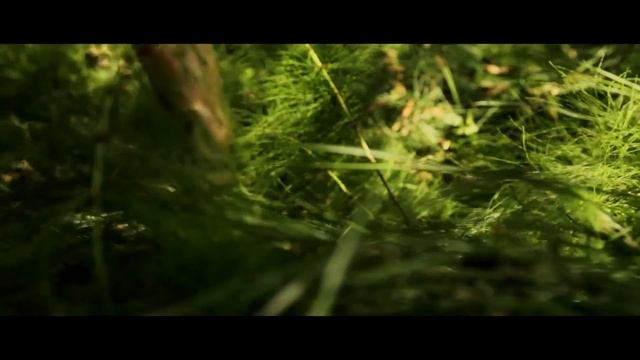 Reel Bildgestaltung / Kamera 2015