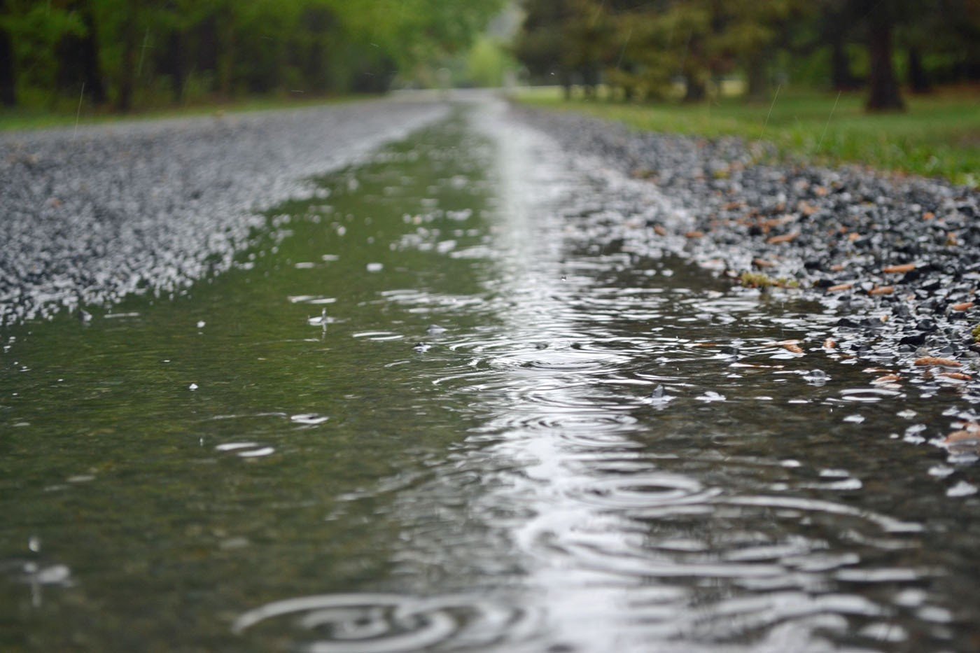 В.ДОБРЫНИН СУМАСШЕДШИЙ ДОЖДЬ