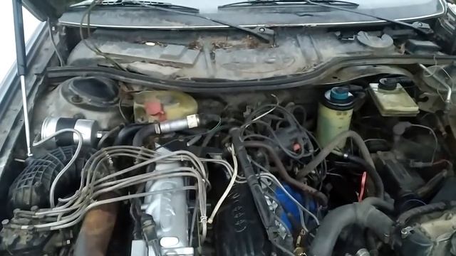 Пушистая радуга