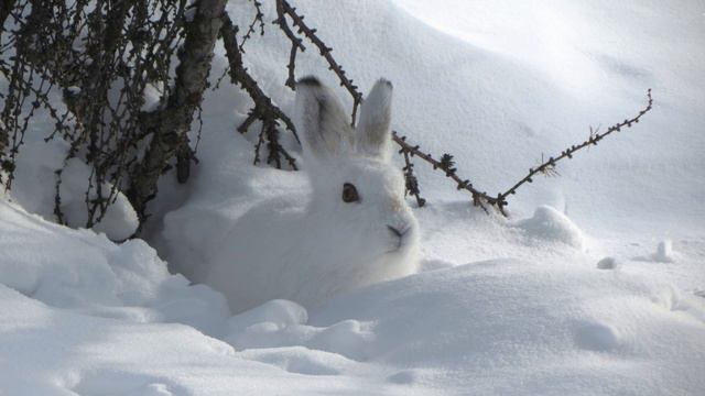 5af99cbd36d57f19466d27cb96809ec4