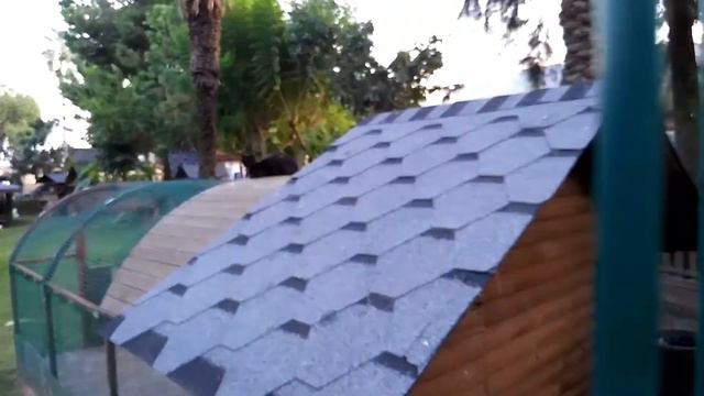 ПРОЩАЮСЬ С КОТИКАМИ АЛАНИИ. ДАЛ ДЕНЬГИ ДЛЯ ТУРЕЦКИХ КОТОВ. ВПЕЧАТЛЕНИЯ ОТ СИДЕ.