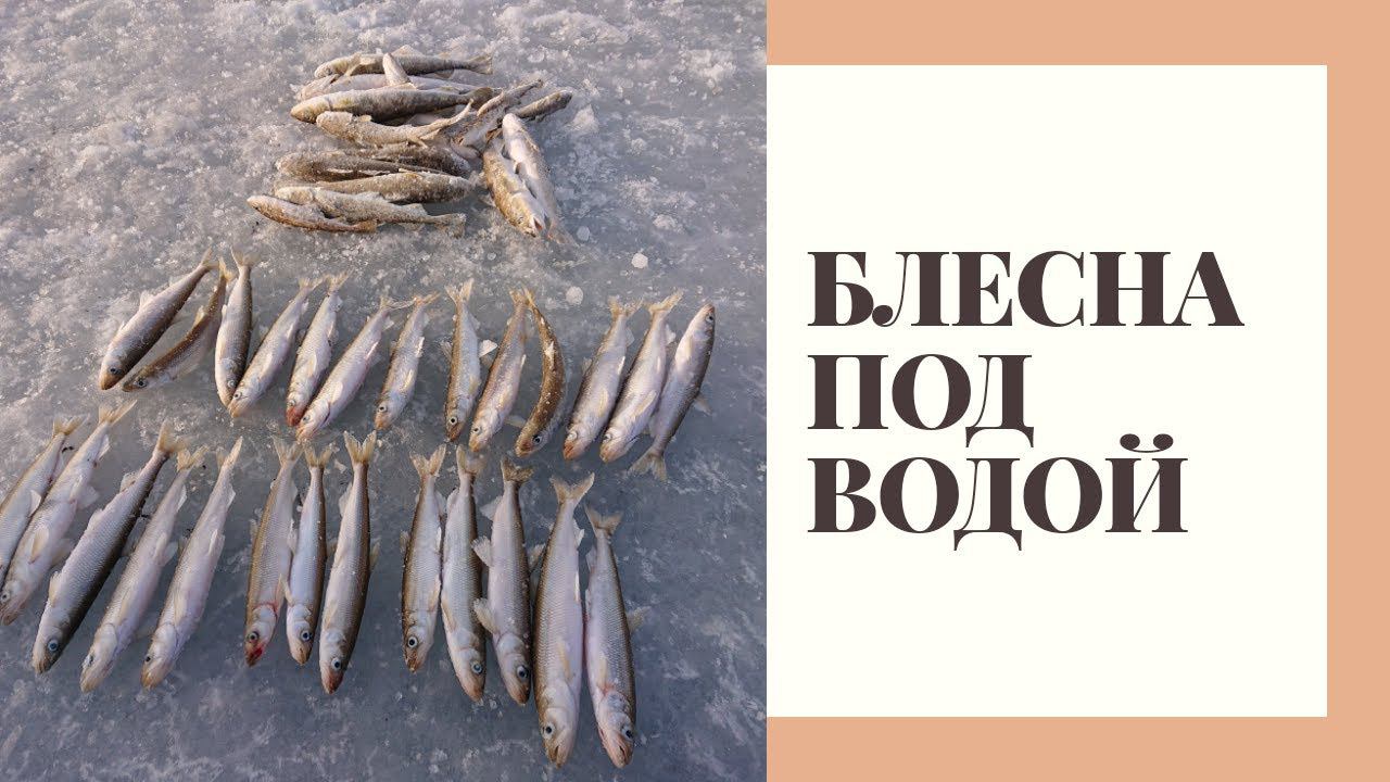 Игра БЛЕСНЫ под водой - МИФ? Рыбалка, зубатка, навага!