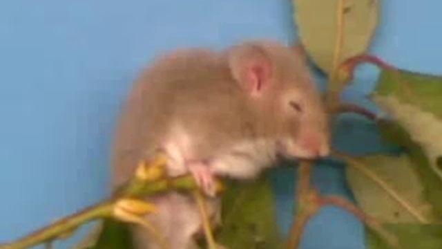 8d4b4bb0f95a1a569d1b8b10c9ad987f