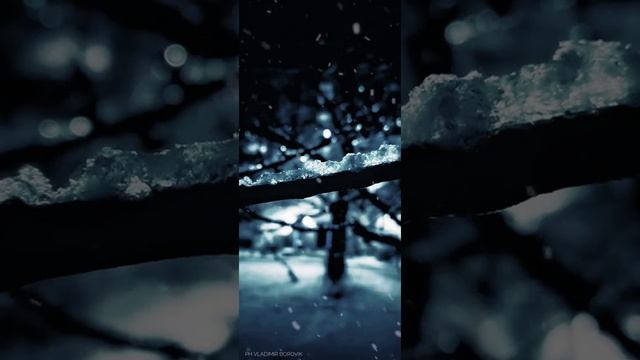 Снег, Вот такое фото сделал возле дома, как вам?