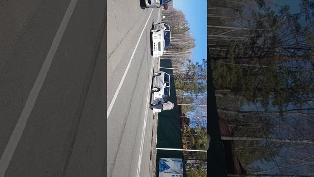 Subaru Forester Sf5 Stb(автомат) & Subaru Forester S5 (механика)