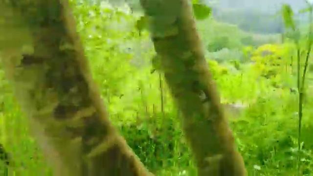 земля 6 соток 6,9 млн