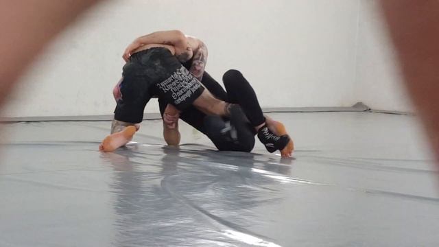 7993a7b824c101942db4028309aee6ef