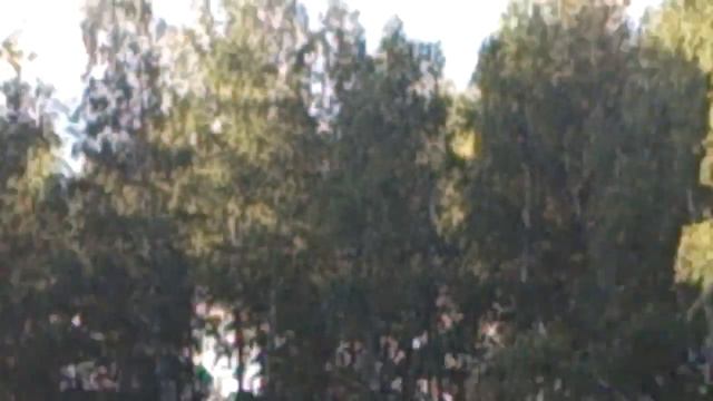 Непонятное существо было найдено в лесу. ШОК!!!