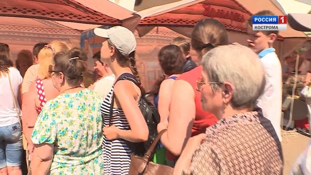 Кострома впервые приняла большой сырный фестиваль