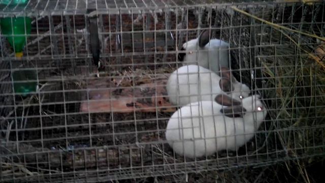 6dbe9c7a0b5e08d247364ceadb8c1355