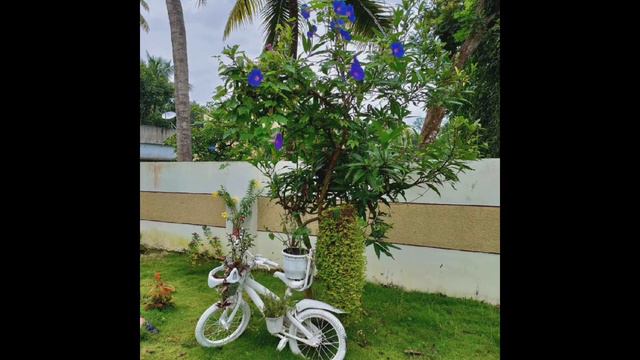 E54c4ee49fbe61dcc200492365836804