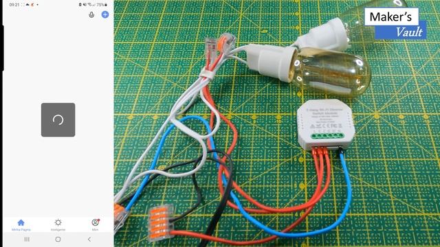 Moes MS-105B Dimmer Switch  Module Dual: Unboxing E Configuração -Use Com Alexa!