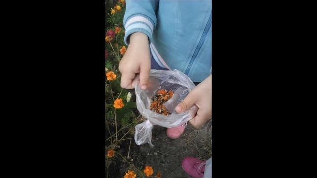 03c99fcc8c8662ae6d3df61d7aea03f1