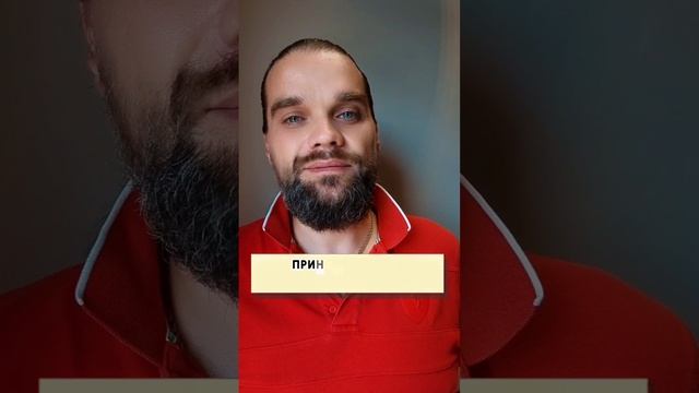 Сколько всего способов подачи заявления о ДТП?