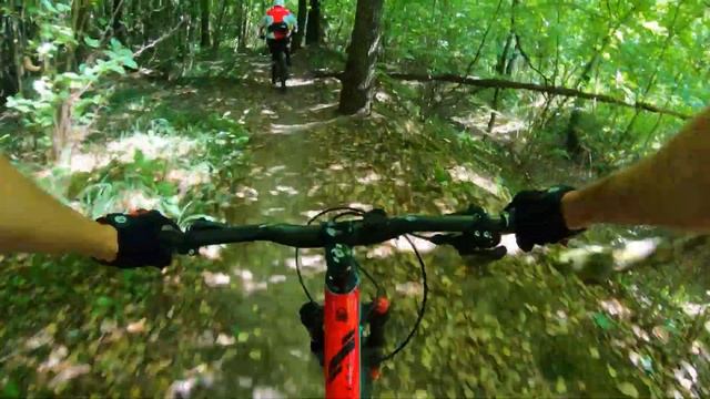 Трейл ХОНДА, в Битце. Сентябрь 2022.