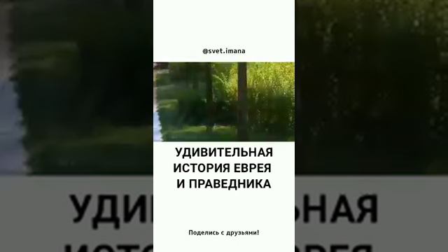 удивительная история еврея и мусульманина