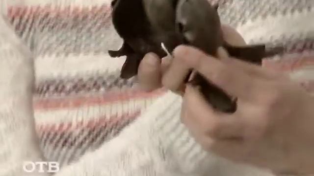 Что хранится в 