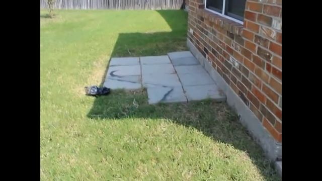 Arlington House Rentals 4BR/2BA By Arlington Property Management