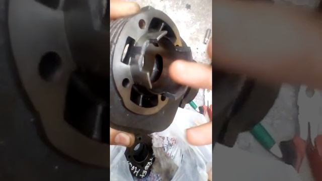 Автосалонное Шоу