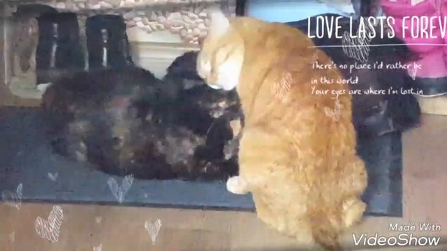 B4c22f785dd262f73a3d55715a80eeb7