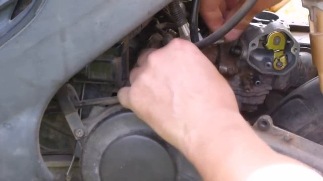 Волшебство в чистоте