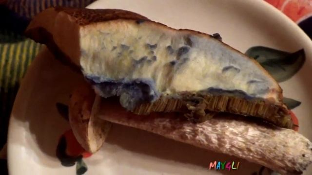 Редкие грибы. Моховик желто-бурый или Осиновик желтый.