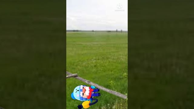 Сиреноголовый