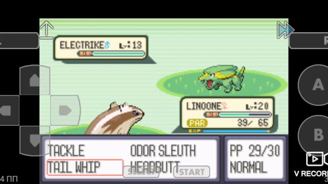 Игра Pokemon Emerald покемоны