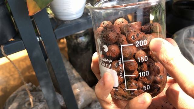 All You Need To Know About Soil