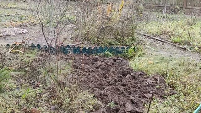 Дача 5-6 ноября.