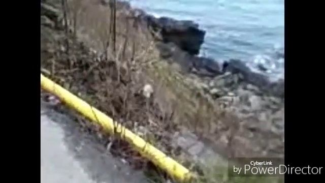 94ce8ed43fb9a35a7d67c8e810739db3