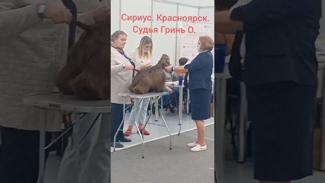 1859a54c73d8ac15996fb93197f33b8c