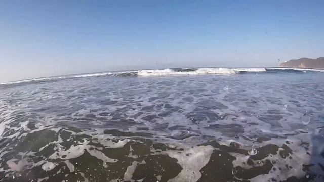 ACAPULCO! Tacos Picantes Y Mucho Cebollín