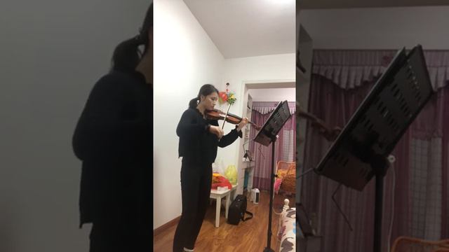 Zou Yan скрипка
