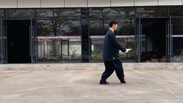 Медленная тренировка  багуа чжан  /八卦掌 八卦圈 慢盘练功