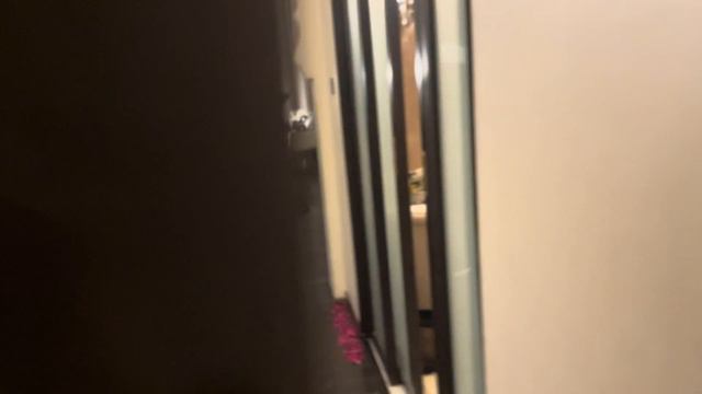 VLOG .1 Ammy Virk , ਬਾਮੀਕਾ ਗੱਬੀ ਜੈਪੁਰ ਵਿਆਹ ਤੇ . 🚘Range Rover  ,Da . Rocket🚀 #ammyvirk #wamiqagabbi