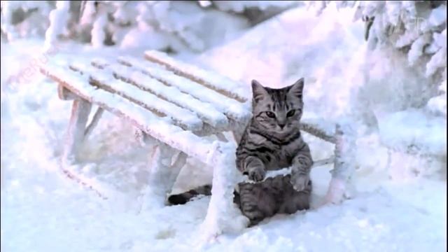 Снегурочка и волшебный зимний сундучок с сюрпризами