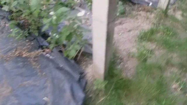 (42) Результат выходных и Мой марафон стройности. Итоги второй недели
