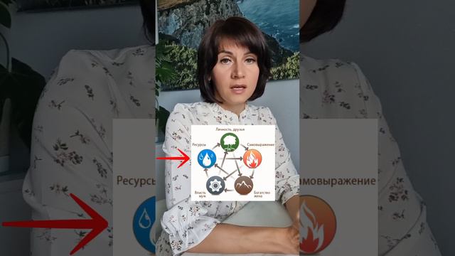 Самый умный по Бацзы