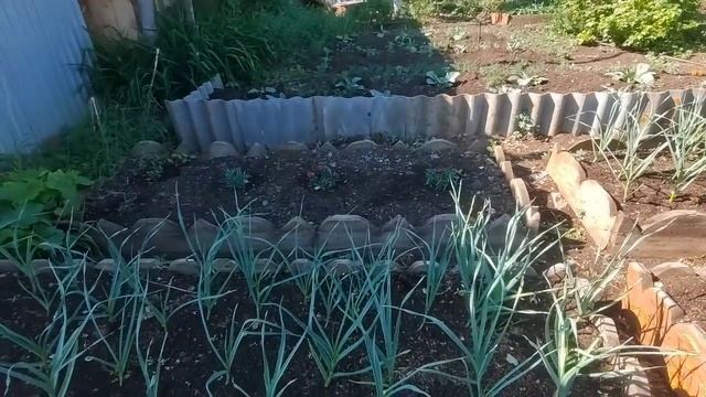 Небольшой обзорчик из Любимого Василька.Ураган попортил навес.Съездили на 40дней в Яраткулово.