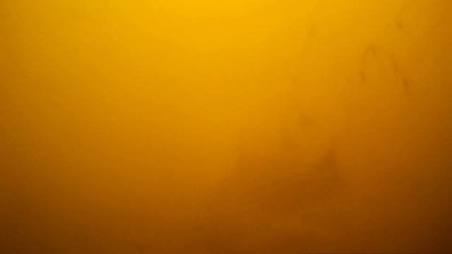 ВОТ ОТ ЧЕГО ДУРЕЕТ ВСЯ РЫБА! Подводная съемка