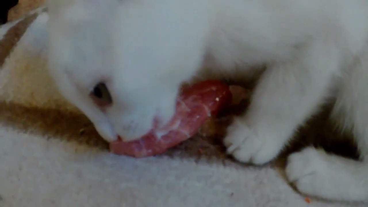 E17d9d50da131012014938078ed5ec9a