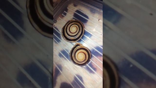 B3aee8444e642b26ad094e96e35f5824