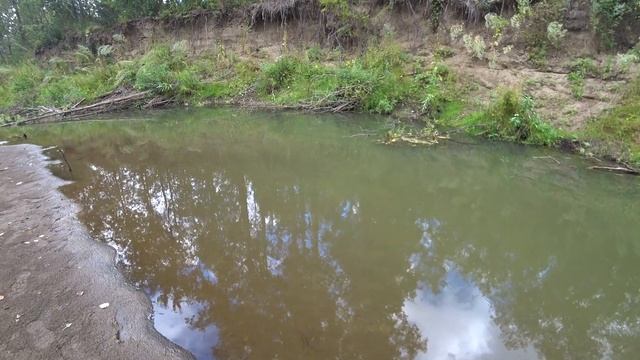 Забрался на ДЕРЕВО в ЛУЖЕ, а СКОЛЬКО РЫБЫ | Рыбы ПОЛНО, а как её поймать? Рыбалка 2022